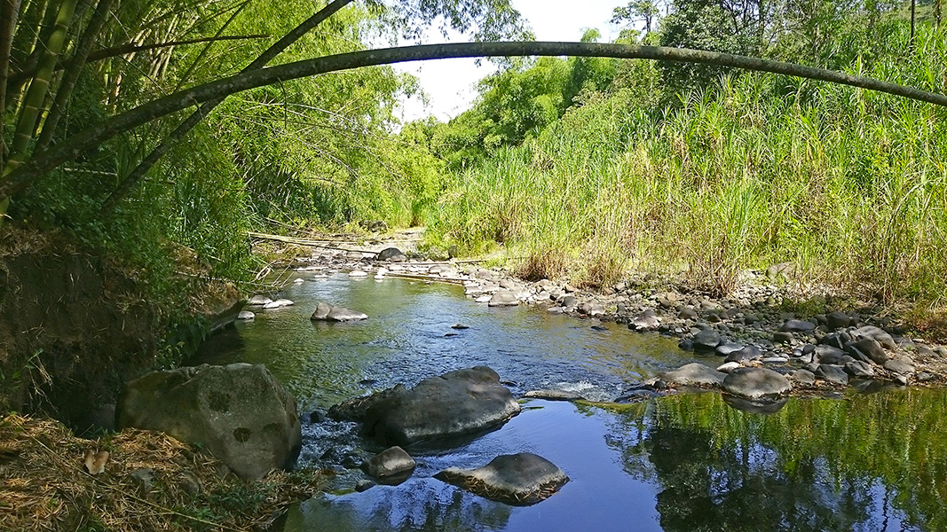 Chalet El Turín - Sendero